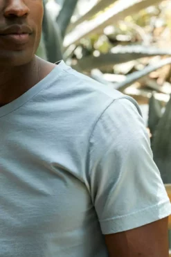 Velvet By Graham & Spencer SAMSEN WHISPER CLASSIC V-NECK TEE