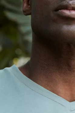 Velvet By Graham & Spencer SAMSEN WHISPER CLASSIC V-NECK TEE