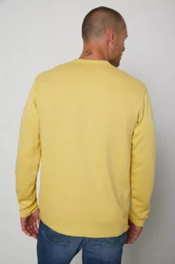 Velvet By Graham & Spencer Mens GASTON CREW NECK TEE