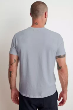 Velvet By Graham & Spencer NOAH PALM TREE GRAPHIC TEE