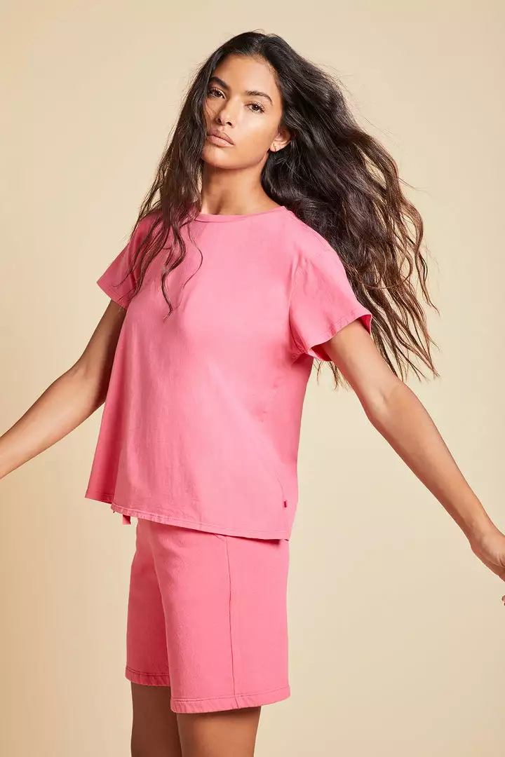 Velvet By Jenny Graham Womens LAGUNA SWEATSHORT 6 Velvet By Jenny Graham Womens LAGUNA SWEATSHORT