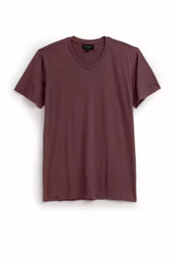 Velvet By Graham & Spencer SAMSEN WHISPER CLASSIC V-NECK TEE Mens