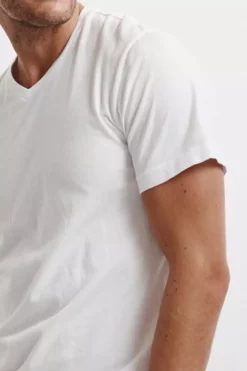 Velvet By Graham & Spencer SAMSEN WHISPER CLASSIC V-NECK TEE