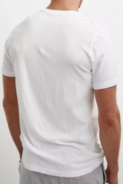 Velvet By Graham & Spencer SAMSEN WHISPER CLASSIC V-NECK TEE