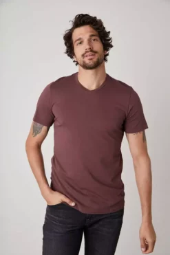 Velvet By Graham & Spencer SAMSEN WHISPER CLASSIC V-NECK TEE Mens