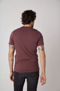 Velvet By Graham & Spencer SAMSEN WHISPER CLASSIC V-NECK TEE Mens